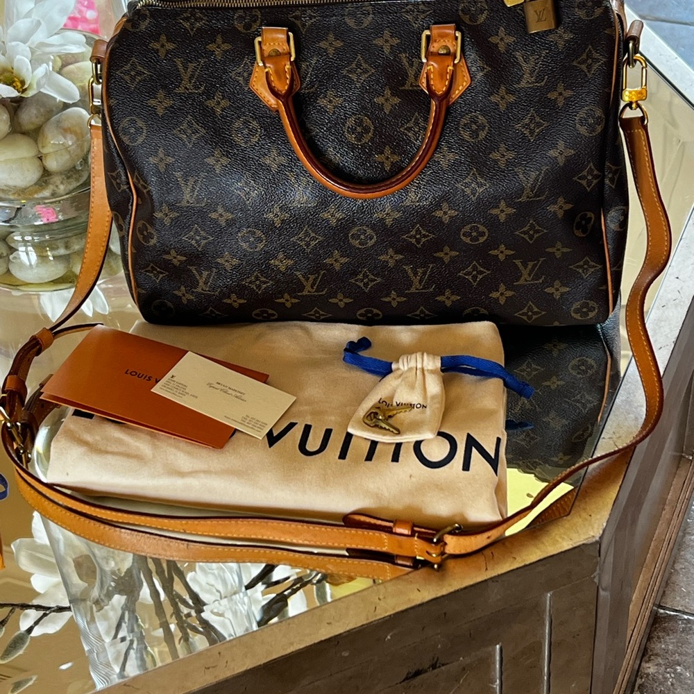 Louis Vuitton Soeedy 30 Purse